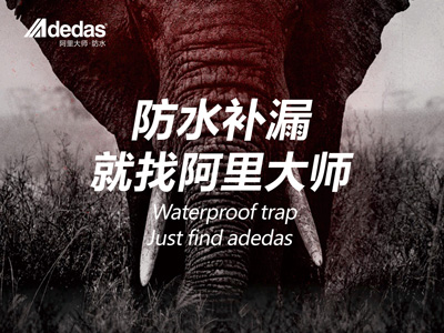 ADEDAS|“阿里大師，大師補漏”——阿里防水品牌名片